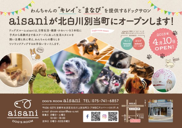 ドックサロンのフライヤー制作