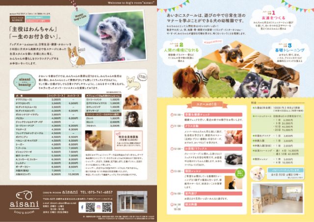 ドックサロンのフライヤー制作