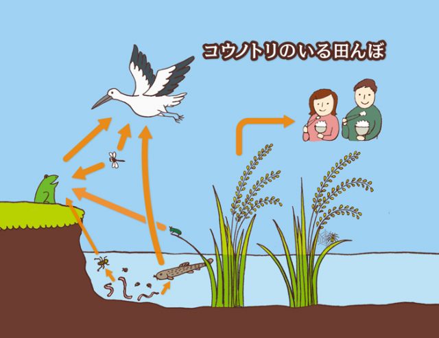 環境教育のイラスト