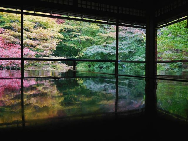 瑠璃光院