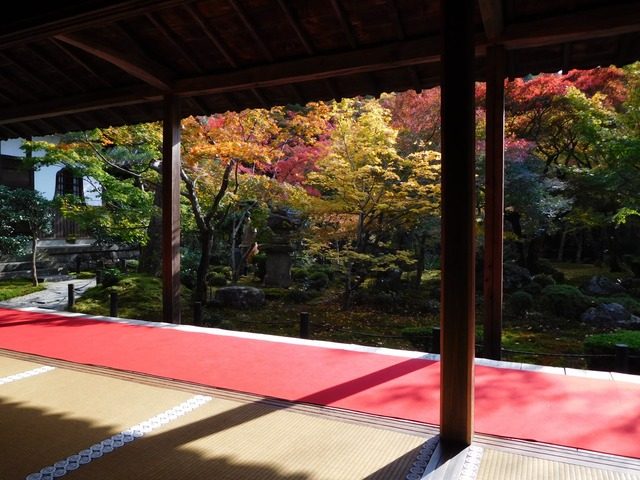 瑠璃光院