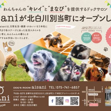 ドックサロンのフライヤー制作