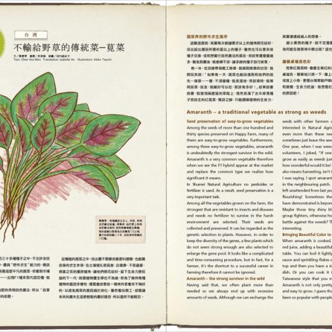 野菜のイラスト