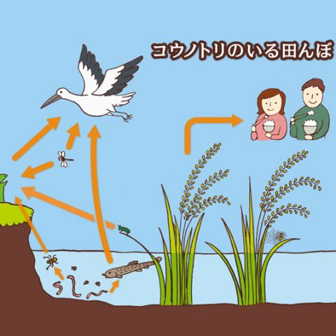 環境教育のイラスト