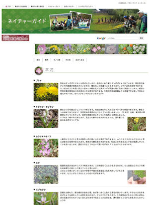 亀岡ウェブサイト
