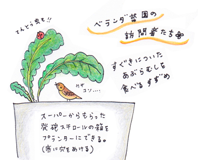 野菜イラスト