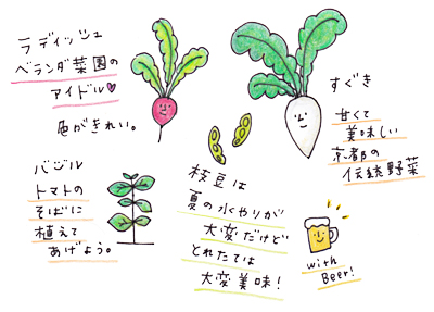野菜イラスト